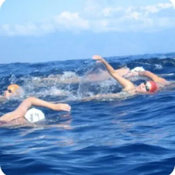 Lake Swimmers