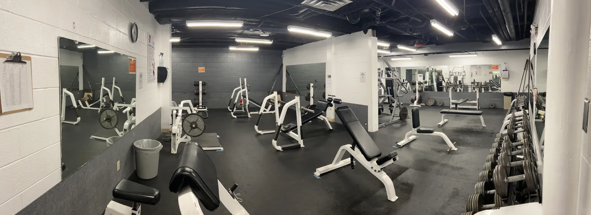 Free Weights
