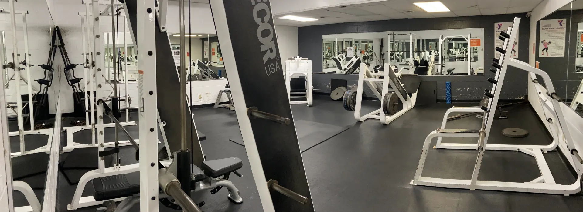 Free Weights